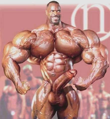 force de vandame bla 3dame